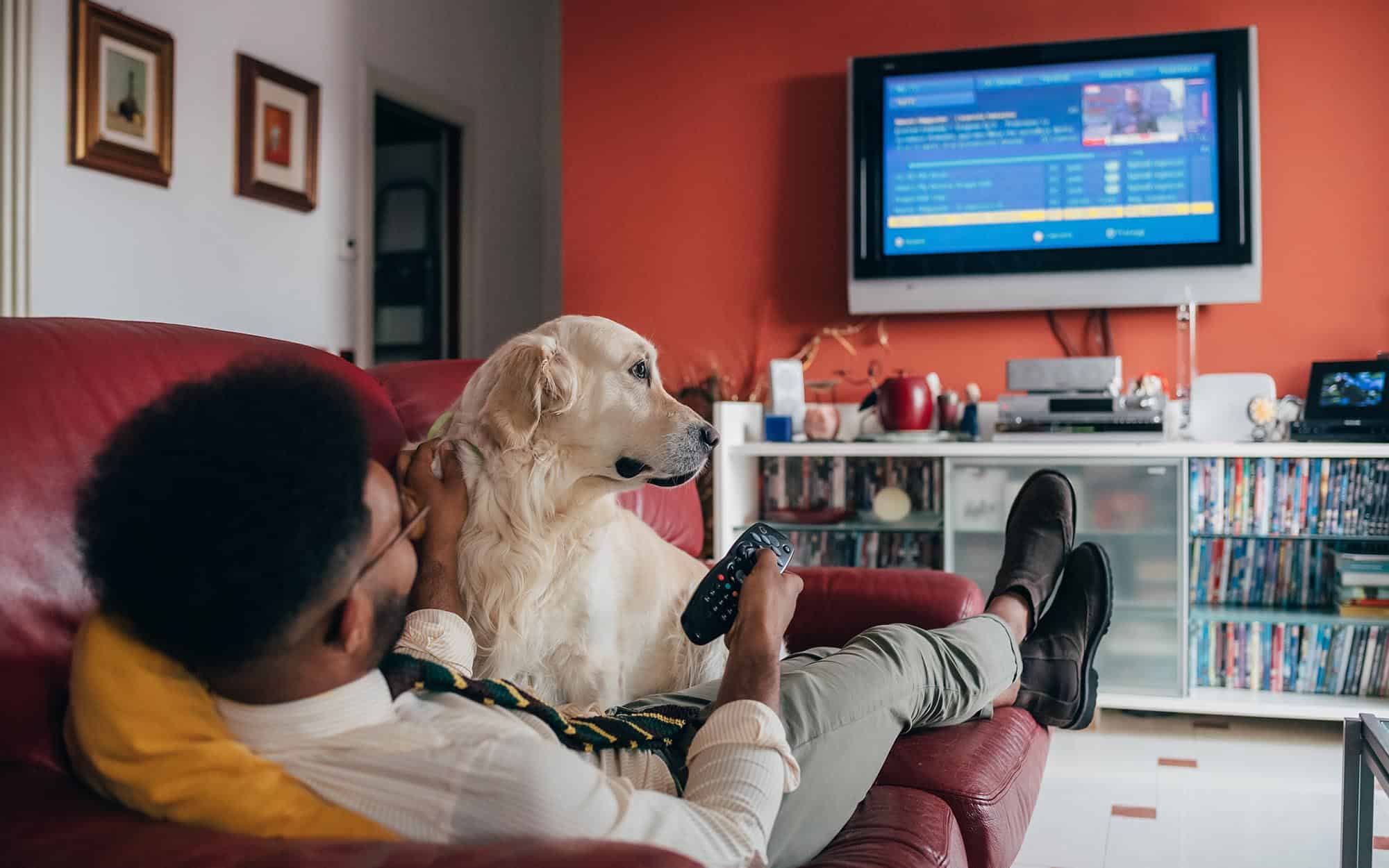 Person laying on couch with dog watching tv